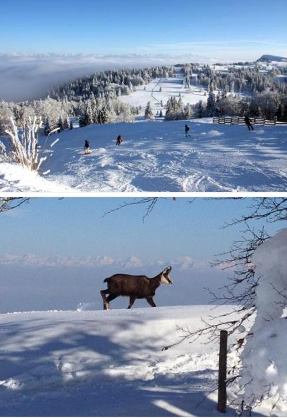 Le Chamois Mont D'Or Apartman Métabief Kültér fotó